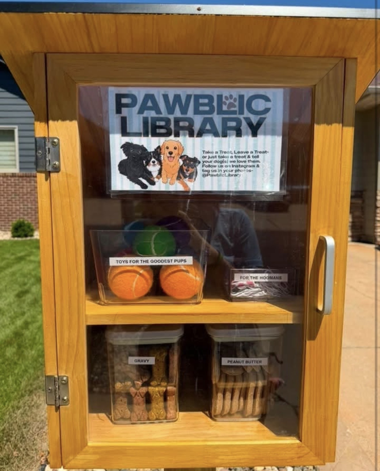 A Trend We Love: Paw-blic Libraries!