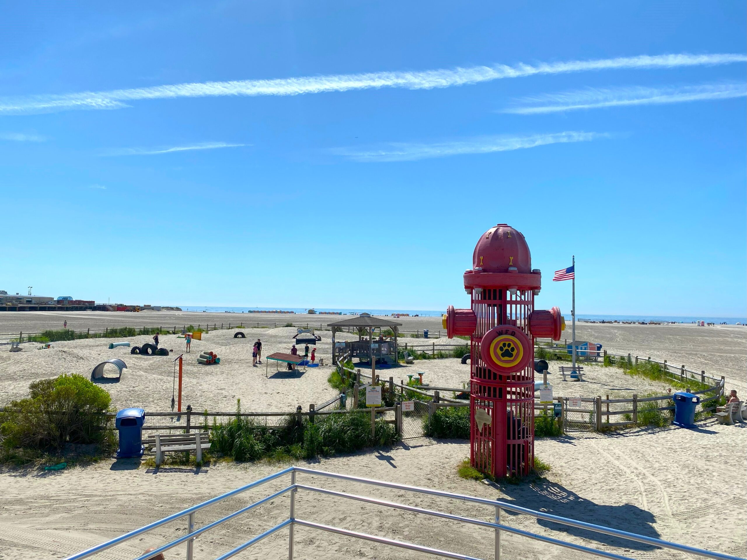 Off-Leash & On Trend: What’s New and Now in Dog Parks?