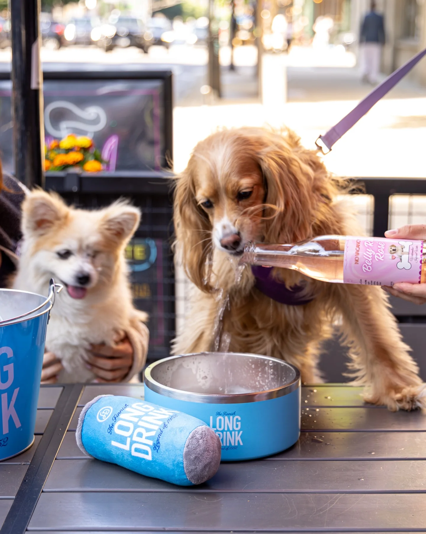 Raise a Glass and a Paw: Why Your Apartment Community Needs a Yappy Hour